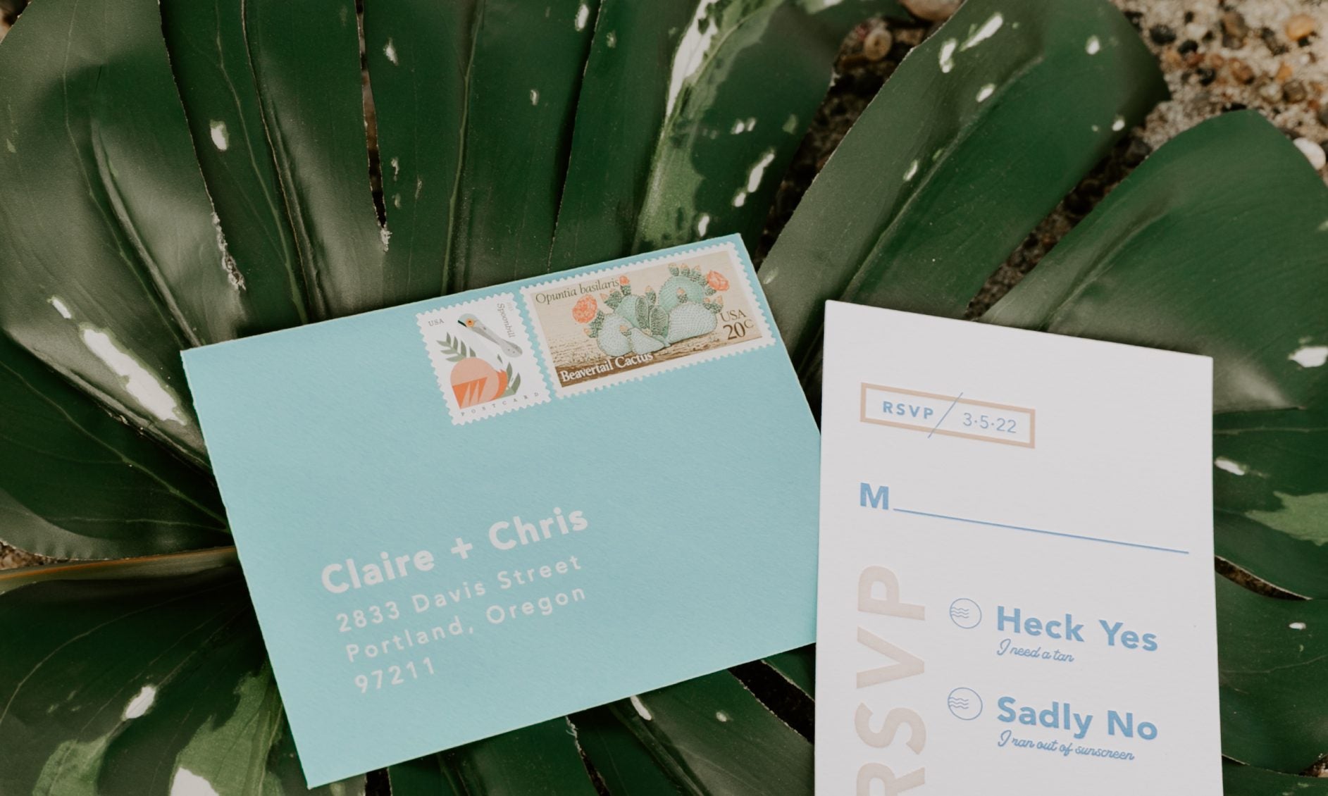 The Sea Coast Letterpress Suite